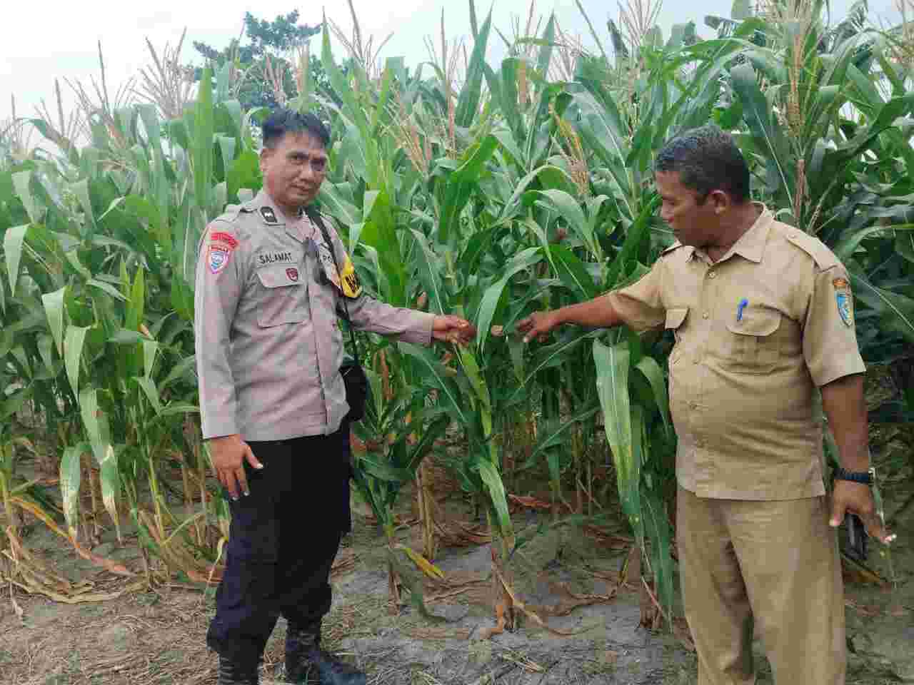 Bhabinkamtibmas Polsek Lima Puluh Gerakkan Warga Manfaatkan Lahan Pekarangan untuk Ketahanan Pangan