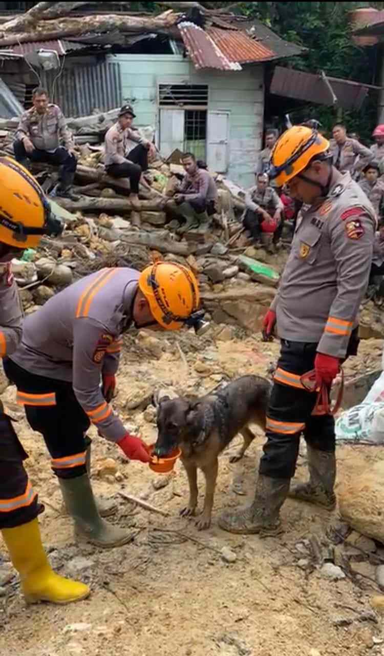 Unit K-9 SAR Korsabahara Baharkam Polri, Temukan Titik Indikasi Korban di Reruntuhan Masjid Sibolga