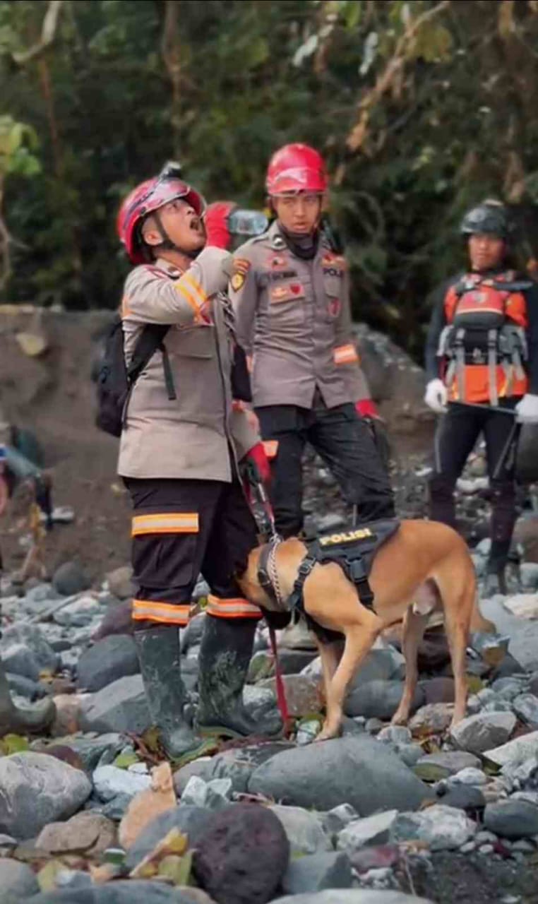 Haru!!! Kisah Kemanusiaan K-9 handler dan Kesetiaan Anjing Pelacak – K9