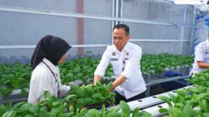 Transformasi Pembinaan Berkelanjutan di Lapas Narkotika Pangkalpinang, Inilah Capaian Kinerja 2025