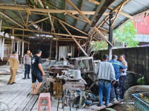 Aksi Heroik PPS Kalbar: Evakuasi Buaya Ganas 2 Meter dari Jantung Pemukiman Pontianak