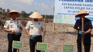 Lahan Air Joman Ditanami Jagung, Dukung Program Ketahanan Pangan Nasional dan Beri Peluang Baru Bagi Warga Binaan!