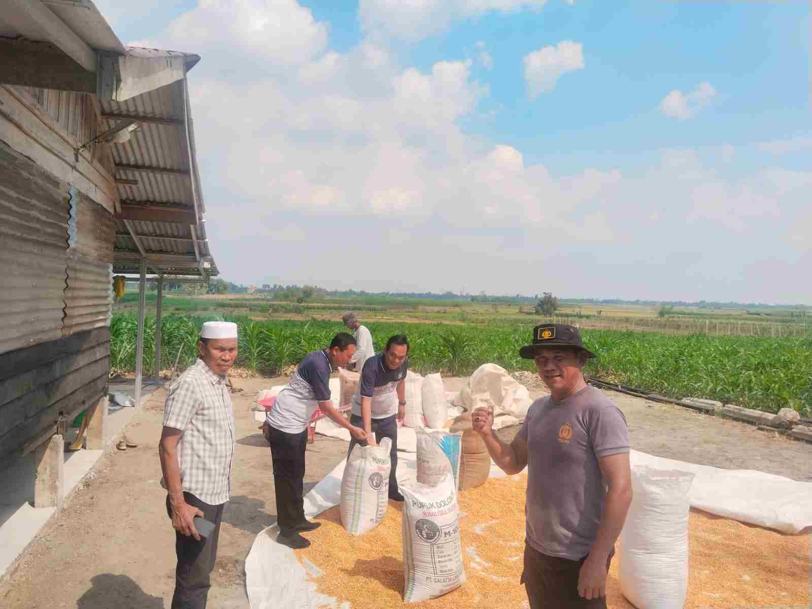 Polres Batu Bara Salurkan 36 Ton Jagung ke Bulog, Upaya Stabilkan Harga dan Dukung Petani