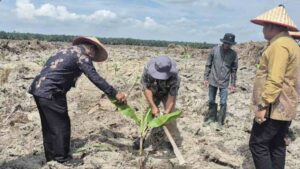 Lapas Labuhan Ruku Tanam 500 Bibit Pisang, Perkuat Ketahanan Pangan dan Kemandirian WBP