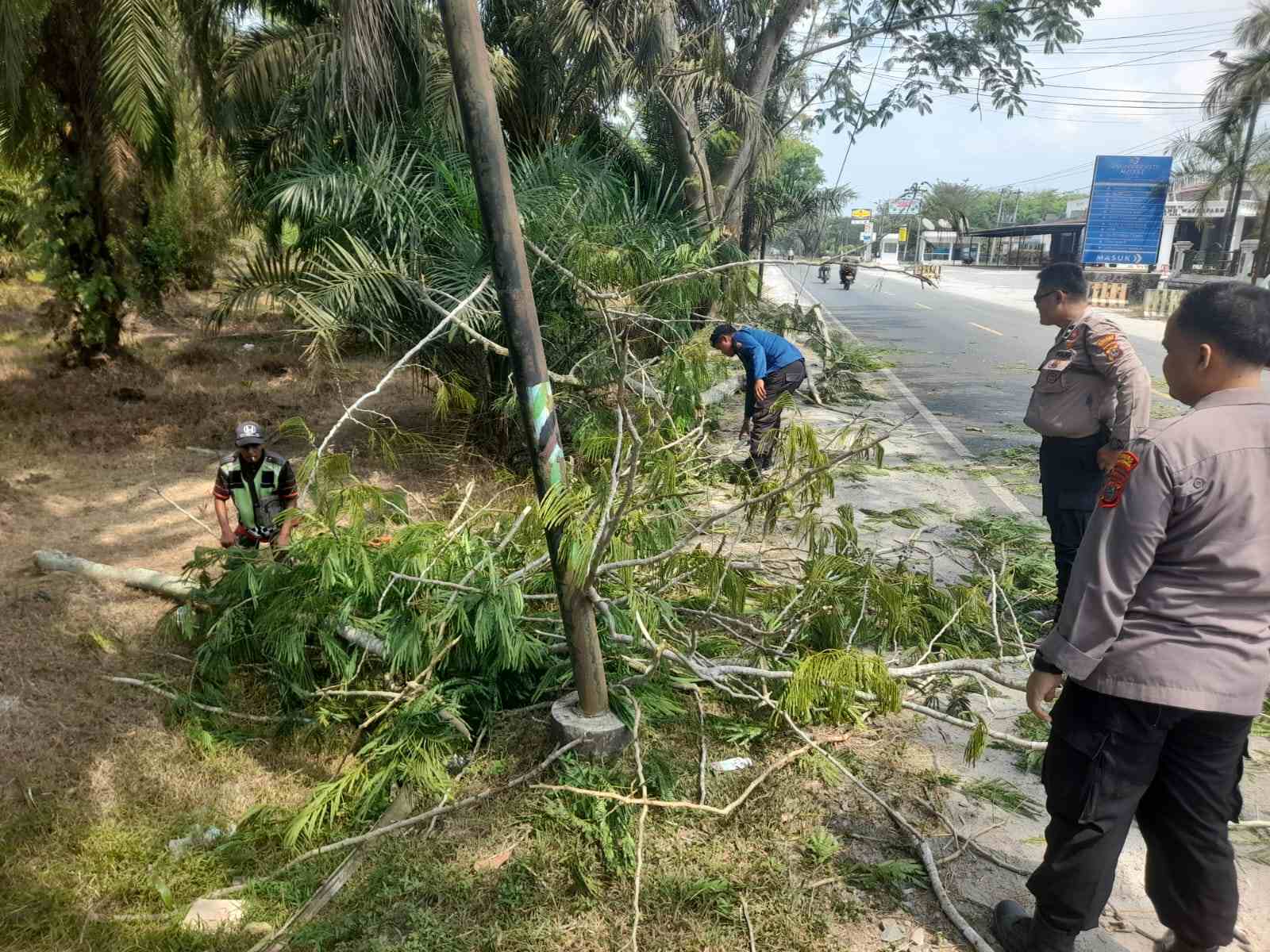 Personil Pos Pam Sei Bejangkar tangani pohon tumbang, aliran lalu lintas kembali lancar