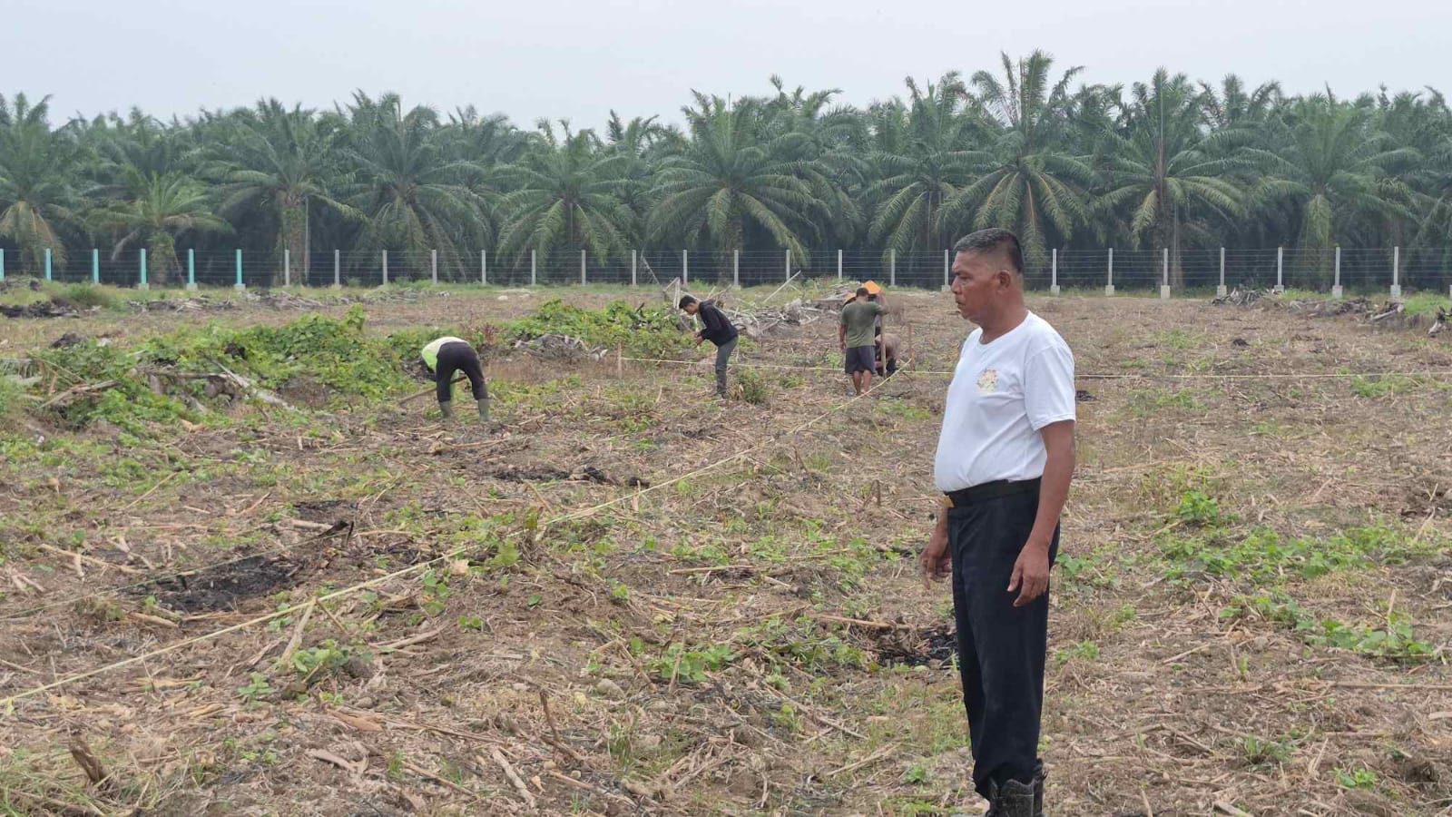 Dukungan Ketahanan Pangan, Kalapas Labuhan Ruku Tinjau Lahan Pertanian Air Joman Untuk Penanaman Jagung Tahap Ke 2