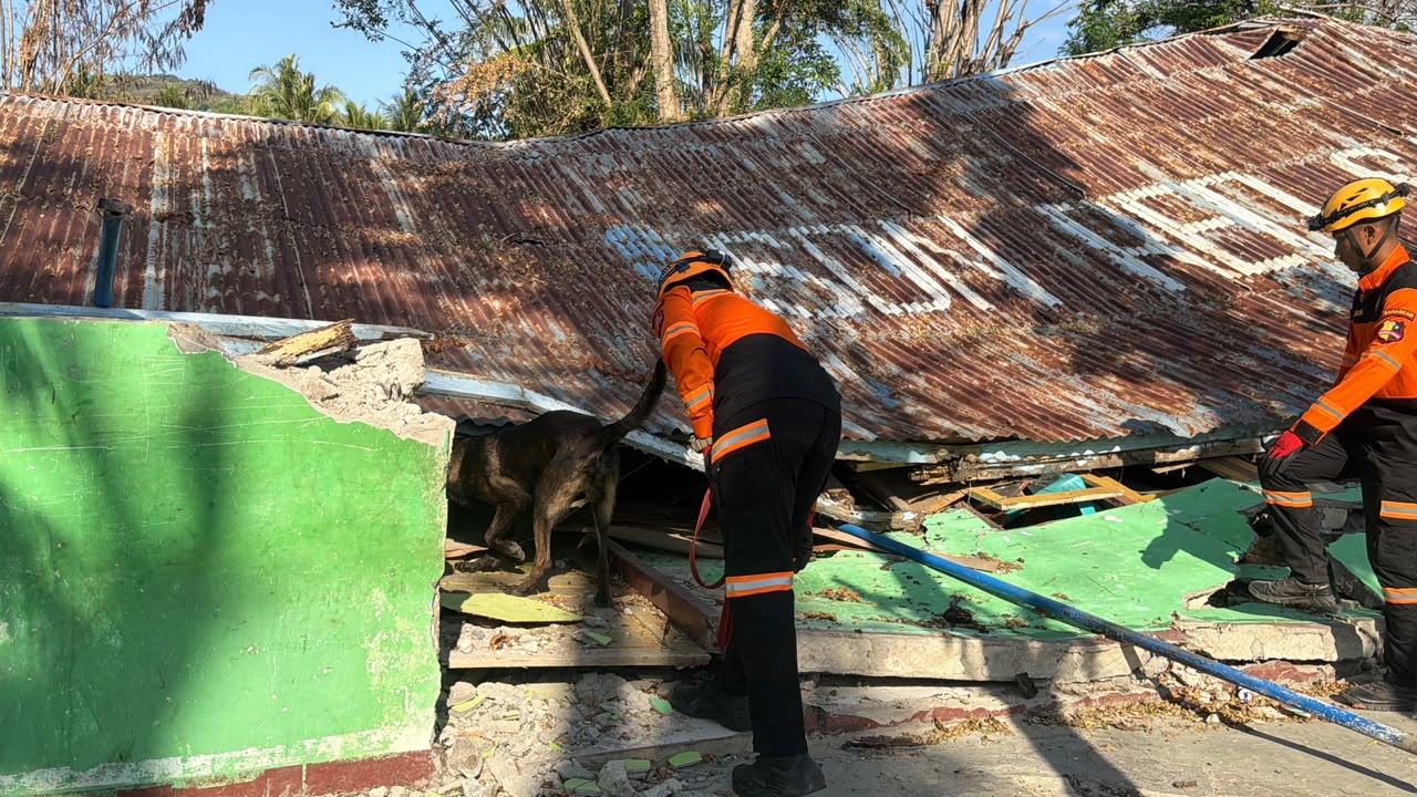 *Tim K-9 SAR Ditpolsatwa Korpsabhara Baharkam Polri Sisir Lokasi Terdampak di Manggarai NTT, Pastikan Sterilisasi dan Keselamatan Satwa*  MANGGARAI, FLORES NTT – Direktorat Polisi Satwa (Ditpolsatwa) Korsabhara Baharkam Polri menerjunkan Tim Search Unit K-9 SAR untuk melakukan pencarian dan evakuasi korban di wilayah hukum Polsek Reo, Kabupaten Manggarai, Flores, Nusa Tenggara Timur (NTT) pada Selasa (18/8/2026). Langkah cepat ini diambil guna menyisir lokasi-lokasi strategis yang terdampak bencana.  Dipimpin langsung oleh Kepala Tim (Katim) K-9 SAR, IPTU Erasmus, pergerakan pasukan dimulai sejak pukul 08.00 WITA. Personel yang dilibatkan terdiri dari 21 anggota gabungan, termasuk Tim Veteriner (dokter hewan), pawang (handler), serta tim pelindung. Setibanya di Polsek Reo pada pukul 12.00 WITA, IPTU Erasmus langsung menggelar konsolidasi dan koordinasi intensif bersama Wakapolda dan Astamaops guna mematangkan strategi operasi di lapangan.  Operasi pencarian difokuskan di area SDN Reo I Kabupaten Manggarai. Sebelum diterjunkan ke area pencarian (site), Team RSH Polri Presisi terlebih dahulu melakukan pemeriksaan kesehatan ketat terhadap empat satwa K-9 spesialis pelacak mayat (cadaver) yang dikerahkan, yaitu Walet, Dasa, Sita, dan Ari. Hal ini dilakukan guna memastikan kondisi fisik satwa dalam keadaan prima.  Selain pemeriksaan satwa, Tim Pelindung juga melakukan sterilisasi area di masing-masing site pencarian. Petugas membersihkan material berbahaya seperti puing-puing seng, paku, dan pecahan kaca yang dapat melukai satwa K-9 saat bertugas.  Tepat pukul 15.15 WITA, pencarian dimulai secara paralel. Satwa K-9 Walet dan Dasa menyisir Site A, disusul oleh K-9 Ari dan Sita yang melakukan pelacakan di Site B. Setelah hampir satu jam proses penyisiran intensif, pencarian dinyatakan selesai pada pukul 16.00 WITA dengan hasil tidak ditemukannya tanda-tanda korban di kedua titik tersebut. Seluruh satwa K-9 kemudian kembali menjalani pemeriksaan kesehatan pasca-operasi oleh Tim RSH Polri Presisi.  Dalam analisa dan evaluasi (anev) yang digelar usai operasi, IPTU Erasmus mencatat beberapa hambatan krusial di lapangan, di antaranya banyaknya material tajam yang berisiko bagi keselamatan satwa, serta kondisi struktur bangunan dan tembok retak di sekitar lokasi yang mengancam keselamatan para pawang (handler).  Meskipun menghadapi medan yang cukup berbahaya, operasi berjalan dengan aman, tertib, dan terkendali. Ditpolsatwa Korsabhara Baharkam Polri berkomitmen untuk terus bersinergi dalam misi kemanusiaan ini demi memberikan pelayanan terbaik bagi masyarakat.