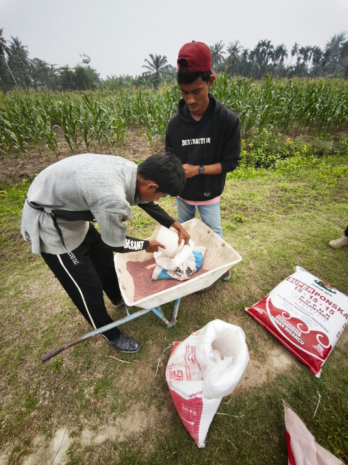 OPTIMALKAN KESEHATAN TANAMAN, LAPAS LABUHAN RUKU LAKSANAKAN PEMUPUKAN PHONSKA DAN KCL PADA TANAMAN JAGUNG DI SAE AIR JOMAN
